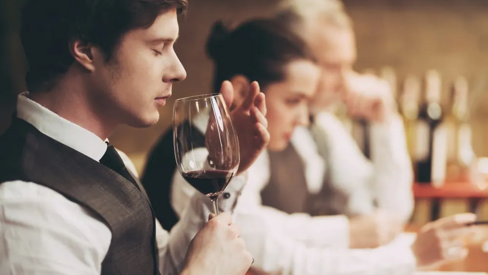 Saint Nicolas de Bourgueil : un vin unique à déguster absolument !